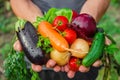 Homemade vegetables in the hands of men. harvest. selective focus. Royalty Free Stock Photo