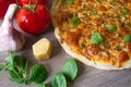 Homemade vegetarian margarita pizza with Parmesan and mozzarella cheese and traditional tomato sauce, topped with fresh green basi Royalty Free Stock Photo