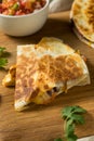 Homemade Vegetarian Quesadilla with Cheese Royalty Free Stock Photo