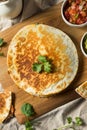 Homemade Vegetarian Quesadilla with Cheese Royalty Free Stock Photo