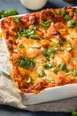 Homemade Vegetarian Veggie Lasagna