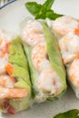 Homemade Vietnamese Shrimp Spring Rolls Royalty Free Stock Photo