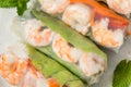 Homemade Vietnamese Shrimp Spring Rolls Royalty Free Stock Photo