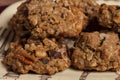 Homemade Walnut Raisin Cinnamon Spice Cookies