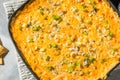 Homemade Warm Buffalo Chicken Dip Royalty Free Stock Photo