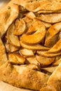 Homemade Warm Cinnamon Pear Galette