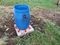 homemade watering trough for chickens. homemade automatic chicken waterer with drum