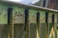 Homemade welded fence. reinforcement close-up. Concept. Abstract background of a makeshift fence Royalty Free Stock Photo