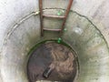 Homemade well. concrete rings are installed in the courtyard of the house to extract resources from the ground. moss grows inside