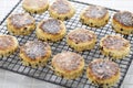 homemade Welsh cakes ( bakestones ) on a cooling rack Royalty Free Stock Photo