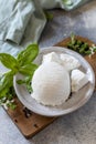 Homemade whey ricotta cheese or cottage cheese with basil ready to eat. Vegetarian healthy diet, fermentation food concept