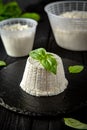 Homemade whey ricotta cheese or cottage cheese with basil ready to eat. Vegetarian healthy, nutritious diet food