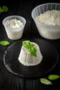 Homemade whey ricotta cheese or cottage cheese with basil ready to eat. Vegetarian healthy, nutritious diet food