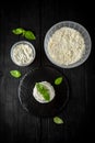 Homemade whey ricotta cheese or cottage cheese with basil ready to eat. Vegetarian healthy, nutritious diet food