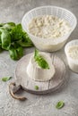 Homemade whey ricotta cheese or cottage cheese with basil ready to eat. Vegetarian healthy, nutritious diet food