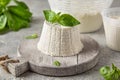 Homemade whey ricotta cheese or cottage cheese with basil ready to eat. Vegetarian healthy, nutritious diet food