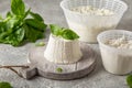 Homemade whey ricotta cheese or cottage cheese with basil ready to eat. Vegetarian healthy, nutritious diet food