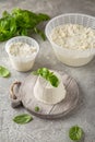 Homemade whey ricotta cheese or cottage cheese with basil ready to eat. Vegetarian healthy, nutritious diet food