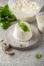 Homemade whey ricotta cheese or cottage cheese with basil ready to eat. Vegetarian healthy, nutritious diet food