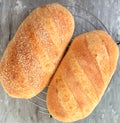 Homemade white bread, loaf of sourdough bread. Fresh loaf of bread on cooling rack Royalty Free Stock Photo