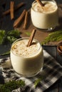 Homemade White Holiday Eggnog Royalty Free Stock Photo