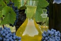 Homemade white and red wine from grapes. Decanters, bottles, corks and grapes photographed against the background of the Royalty Free Stock Photo