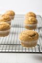 Homemade Whole Wheat Bran Muffin on Black Metal Cooling Rack. Breakfast Morning Healthy Pastry Baking Concept Royalty Free Stock Photo