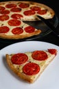 Homemade whole-wheat flour pie with ricotta cheese and tomatoes on a black background. Closeup