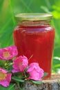 Homemade wild rose jam in the jar on the stump in the forest