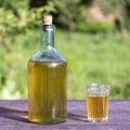 Homemade wine in a big glass bottle on nature background in garden Royalty Free Stock Photo