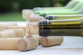 homemade wine making Royalty Free Stock Photo