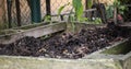 Homemade wooden compost bin in the garden. Recycling organic biodegradable material and household waste in composter. Best organic Royalty Free Stock Photo