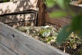 Wooden compost bin in the garden. Recycling organic biodegradable material and household waste in composter. Best organic