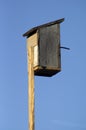 Homemade wooden house for migratory birds starlings