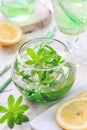 Homemade woodruff lemonade with lemon Galium odoratum