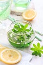 Homemade woodruff lemonade with lemon Galium odoratum