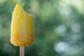 Homemade yellow ice lolly sorbet Royalty Free Stock Photo