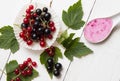 Homemade yogurt with black and red currant in spoon. Fresh berries with leaves on white wooden boards Royalty Free Stock Photo