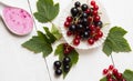 Homemade yogurt with black and red currant in spoon. Fresh berries with leaves on white wooden boards Royalty Free Stock Photo
