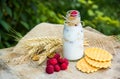 Homemade yogurt with cereals and fruits in a bottle. Fresh organic raspberries and waffles. Royalty Free Stock Photo