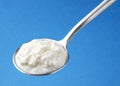 Homemade yogurt in spoon, fresh curdled milk Royalty Free Stock Photo