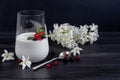 Homemade yogurt in a tall glass on a dark background. Garnished with mint and cranberries. Healthy diet food. Vegetarian food