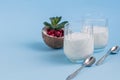 Homemade yogurt in two glasses on a blue background. Garnished with mint and cranberries. Healthy diet food. Vegetarian food