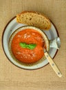Zesty Tomato basil soup Royalty Free Stock Photo