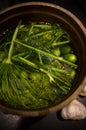 Homemage pickled cucumbers still life food photo