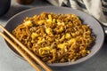 Homemand Trendy Instant Ramen Noodle Stir Fry Royalty Free Stock Photo