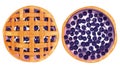 Homemde pie, tart top view whole with yogurt or cream an blueberry round bakery, dessert top view in cartoon style