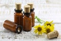 Homeopathic arnica pills Royalty Free Stock Photo