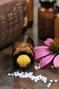 Homeopathic echinacea pills Royalty Free Stock Photo