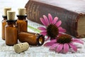 Homeopathic echinacea pills Royalty Free Stock Photo